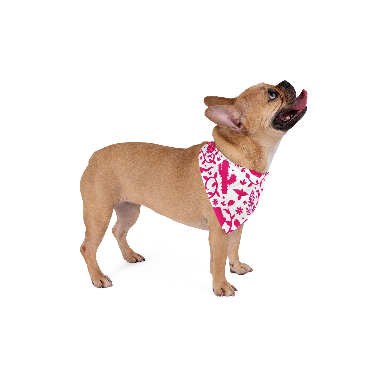 Texas Otomi Hot Pink Pet Bandana