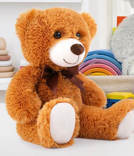 Plush Bear with Customized T-Shirt