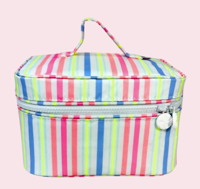 MINT Wipeable Train Cases
